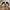 Women's Cute Cow Plush Slippers - Cozy Indoor Footwear | Signature Step