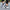 Jinshiyuan Sports Sneakers – Breathable Mesh Casual Shoes for Men