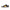 Putian DUNK Premium Quality Shoes