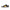 Putian DUNK Premium Quality Shoes