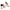 Pointed Toe Stiletto Heels – 7 Colors.