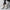 Premium Soft Leather Men's Casual Sneakers.