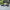 Jinshiyuan Sports Sneakers – Breathable Mesh Casual Shoes for Men.