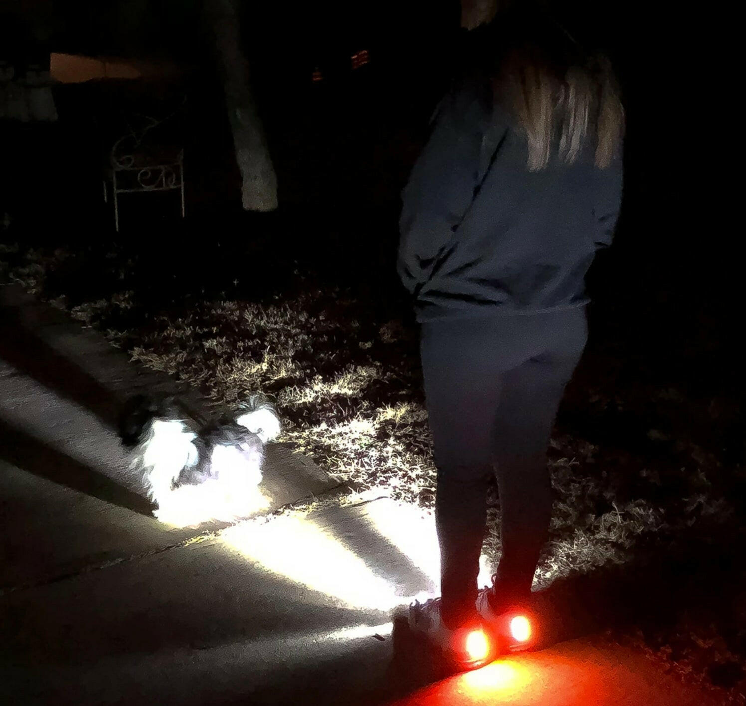 Women’s Night Runner Light Shoes | LED Safety Running Shoes for Night Visibility.